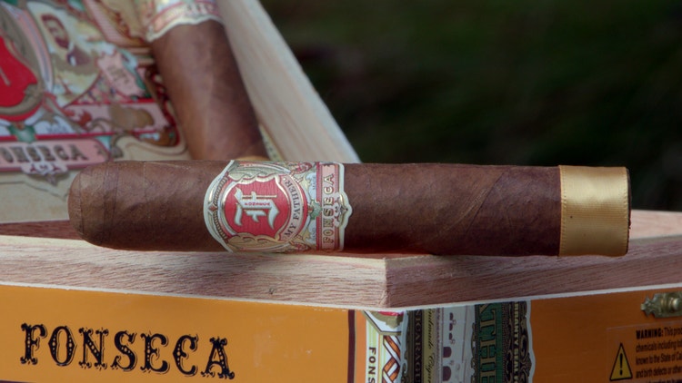 closeup view of Fonseca by My Father cigars single cigar