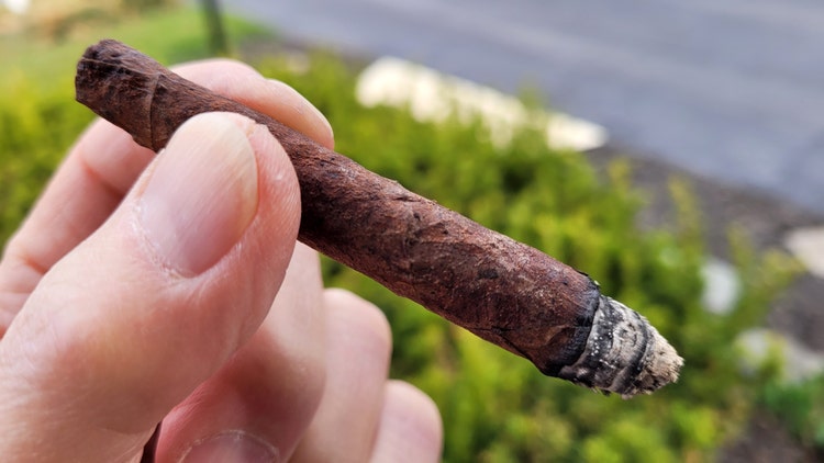 Parodi Bon Gusto cigar review by Gary Korb
