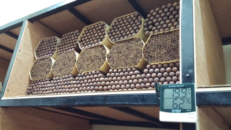 5 things about aging cigars - cigar factory aging room with cigars