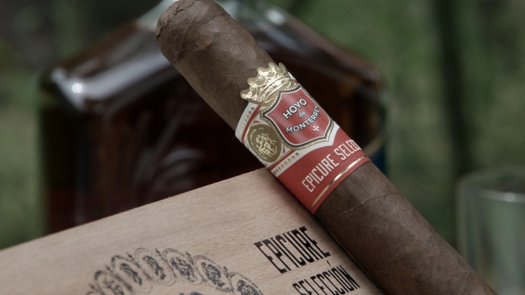 Hoyo de Monterrey Epicure Seleccion cigar review close up
