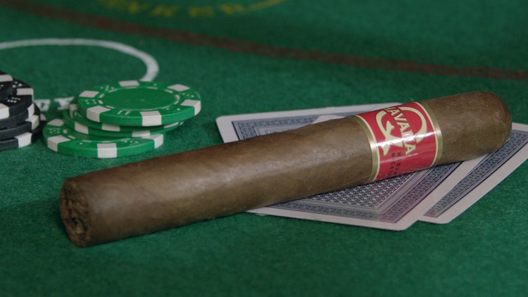 Havana Q cigars for playing poker