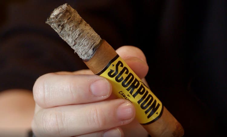 camacho scorpion connecticut cigar review video Camacho Scorpion with long ash at Famous Smoke Shop