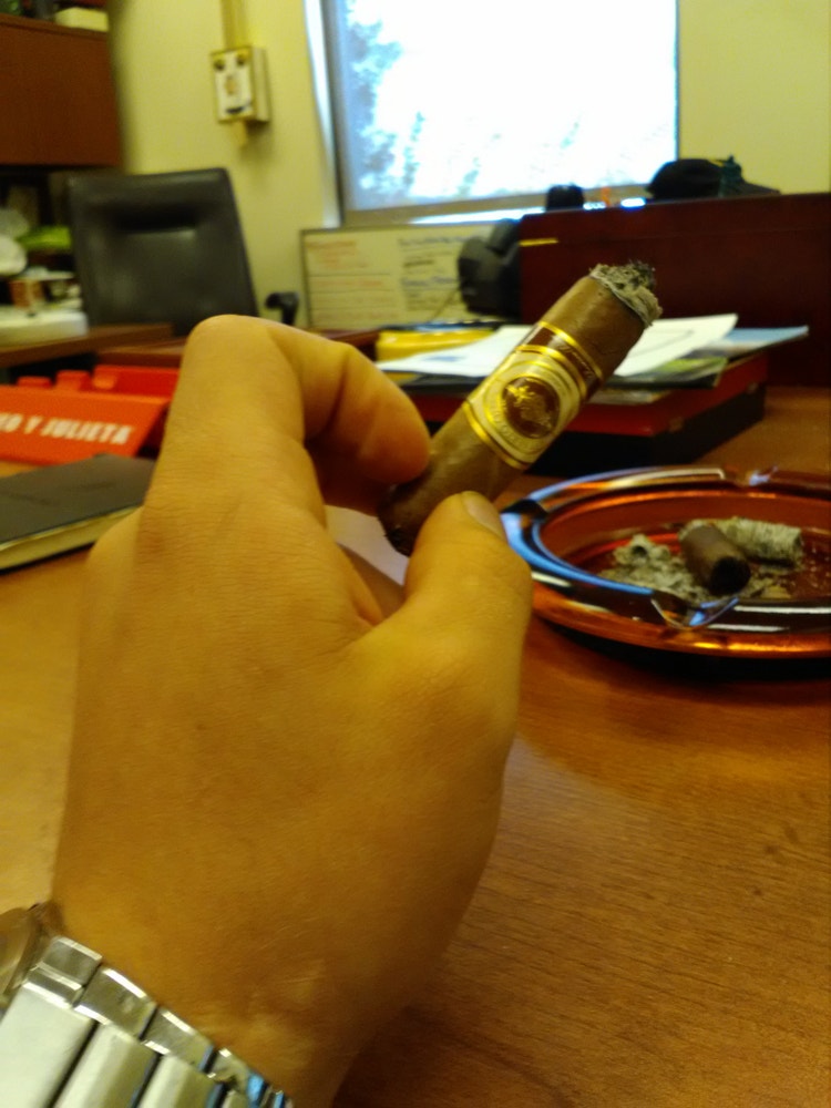 oliva cigars gilberto white cigar review