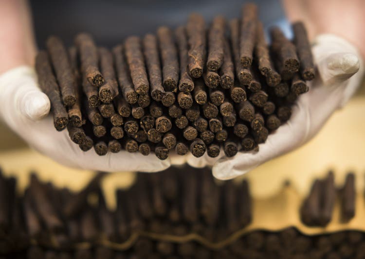 Making an American Cigar Tour of the Avanti Cigar Factory inspecting Avanti parodi dry cured cigars