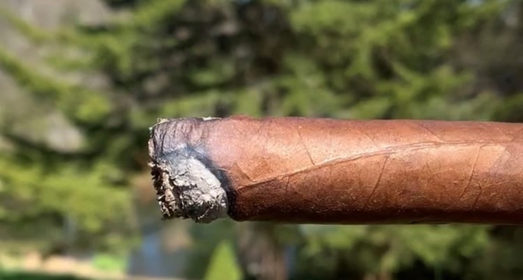 A cigar can canoe or burn poorly because of improper humidification - image of a canoeing cigar
