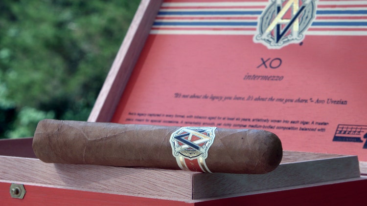#nowsmoking avo xo cigar review classic cigar