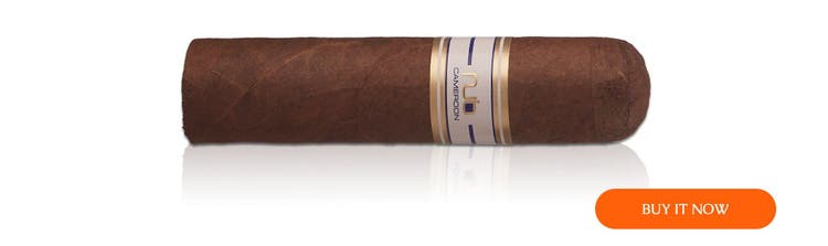 cigar advisor top 5 best-rated nub cigars - cameroon 460 at famous smoke shop