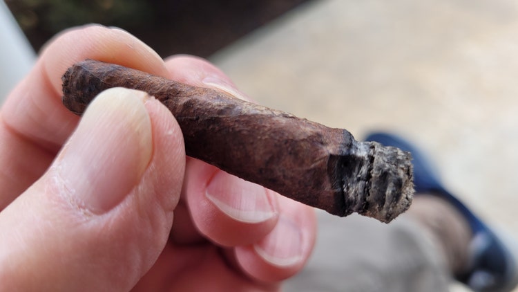 Parodi Bon Gusto cigar review part 2