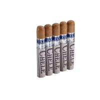 CLE Chele Robusto 5 Pack