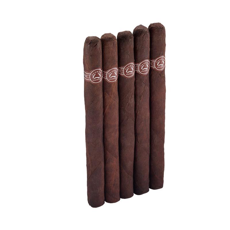 Padron Ambassador 5 Pack Cigars at Cigar Smoke Shop