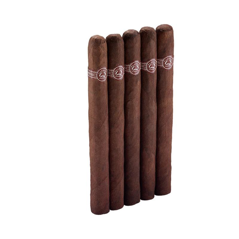 Padron Executive 5 Pack Cigars at Cigar Smoke Shop
